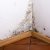 Pasadena Mold Testing & Remediation by PuroClean of San Fernando